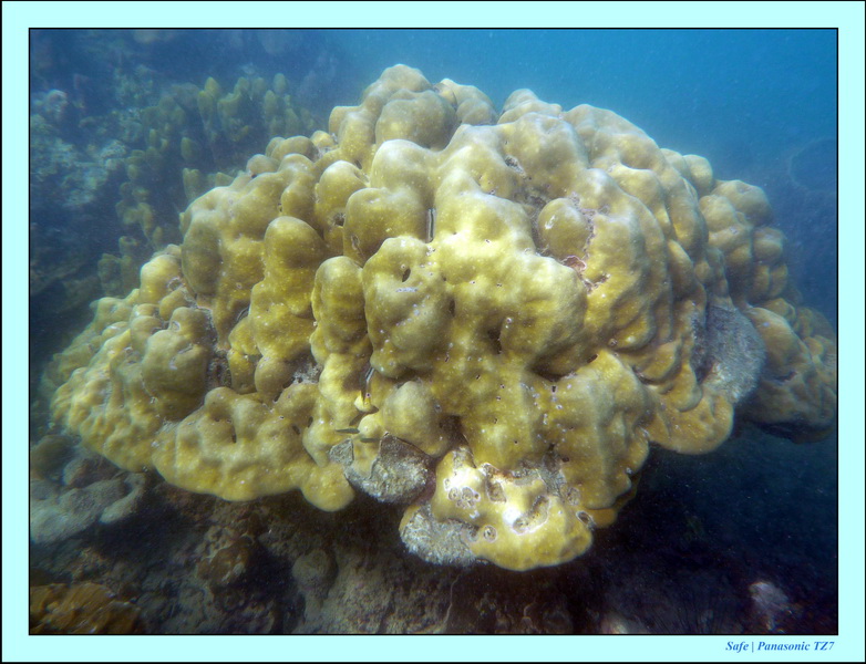 2011 - 03 - Koh Ngai 070